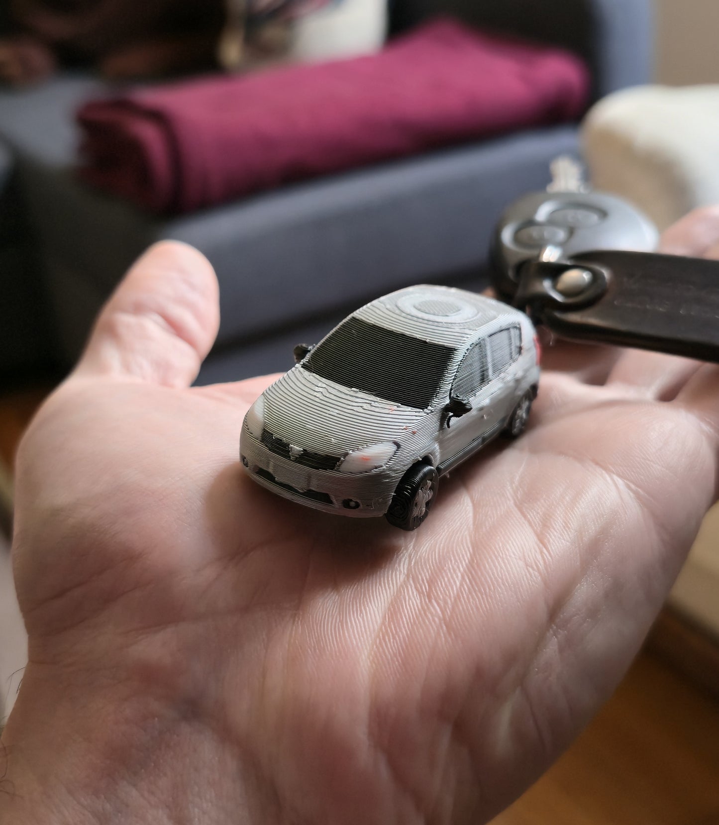 Dacia Sandero 2008 Keychain